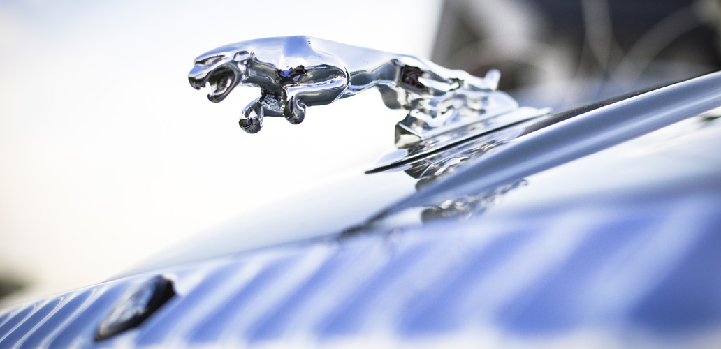 Fotografia ślubna - Bytom, Gliwice, Katowice